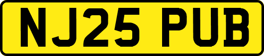 NJ25PUB