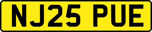 NJ25PUE