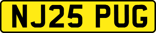 NJ25PUG