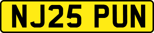 NJ25PUN
