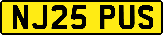 NJ25PUS