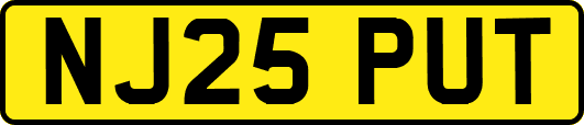 NJ25PUT