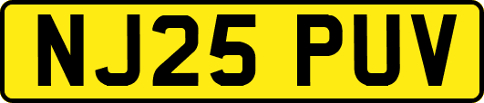 NJ25PUV