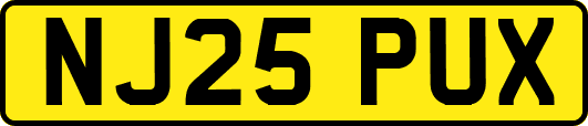 NJ25PUX