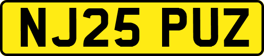 NJ25PUZ