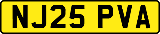 NJ25PVA