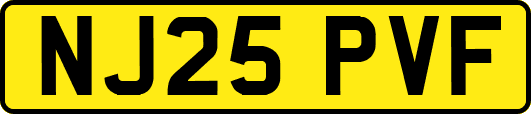 NJ25PVF