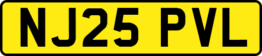 NJ25PVL