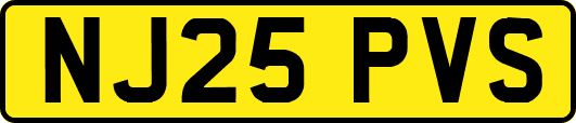 NJ25PVS