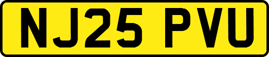 NJ25PVU