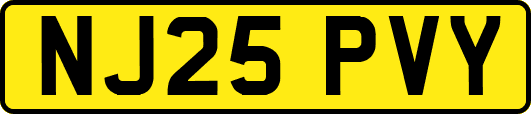 NJ25PVY