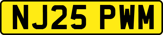 NJ25PWM