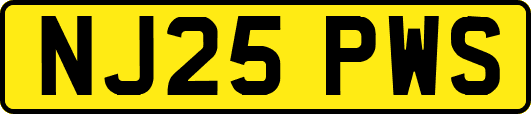 NJ25PWS