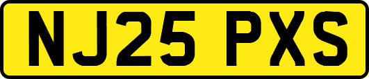 NJ25PXS