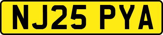 NJ25PYA