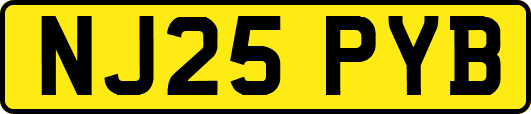 NJ25PYB