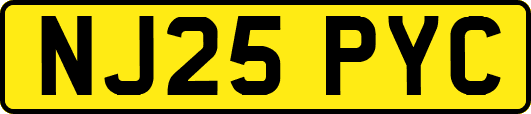 NJ25PYC