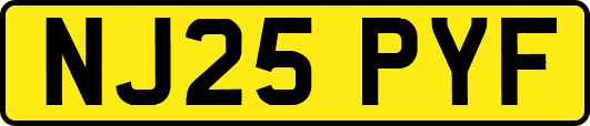 NJ25PYF