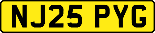 NJ25PYG