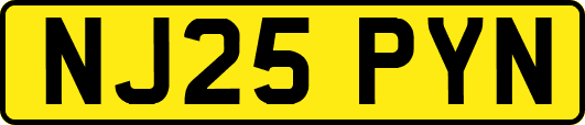 NJ25PYN