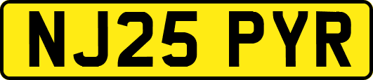 NJ25PYR