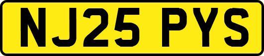 NJ25PYS