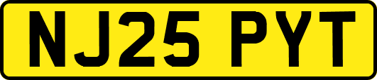 NJ25PYT