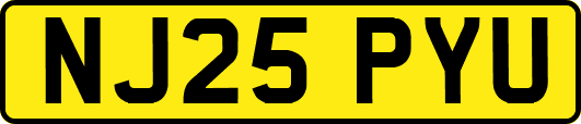 NJ25PYU