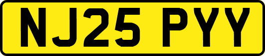 NJ25PYY