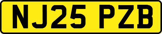 NJ25PZB