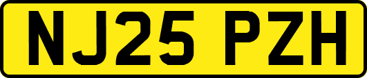 NJ25PZH