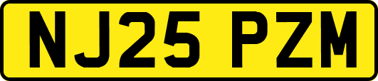 NJ25PZM