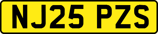 NJ25PZS