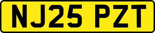 NJ25PZT