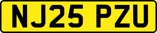 NJ25PZU