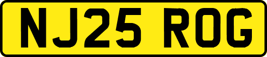 NJ25ROG