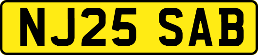 NJ25SAB