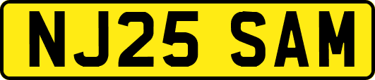 NJ25SAM