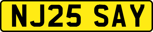 NJ25SAY