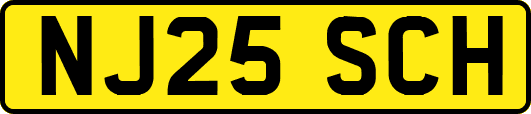 NJ25SCH