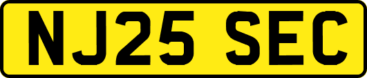 NJ25SEC