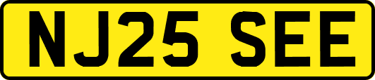 NJ25SEE