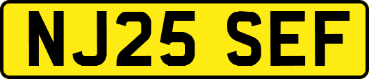 NJ25SEF