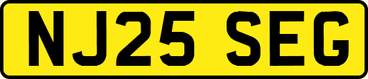 NJ25SEG