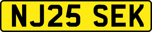 NJ25SEK
