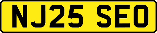 NJ25SEO