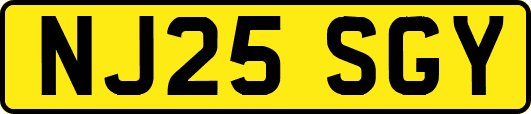 NJ25SGY