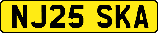 NJ25SKA