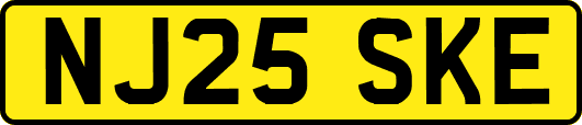 NJ25SKE