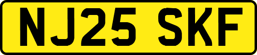 NJ25SKF